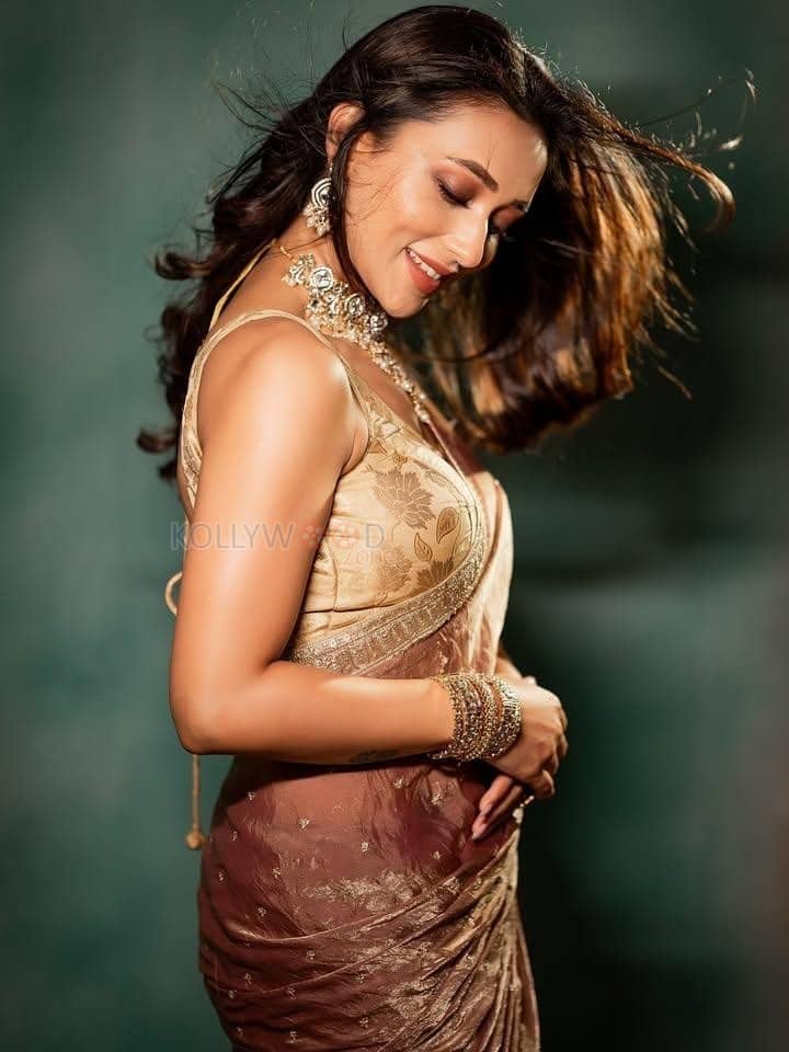 Bengali Actress Mimi Chakraborty in a Rust Coloured Saree with a Sleeveless Embroidered Blouse Photos 03