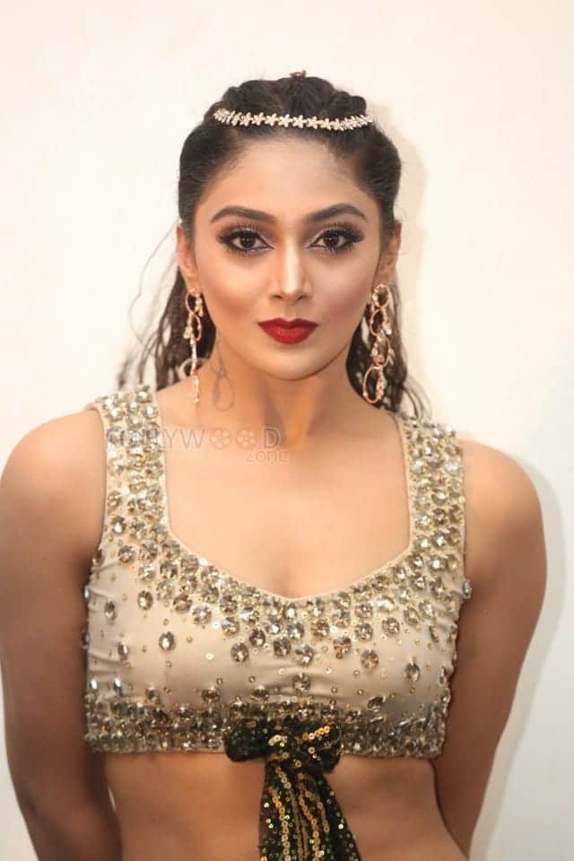 Actress Natasha Doshi At Bang Bang New Year 2019 Celebration Photos 01