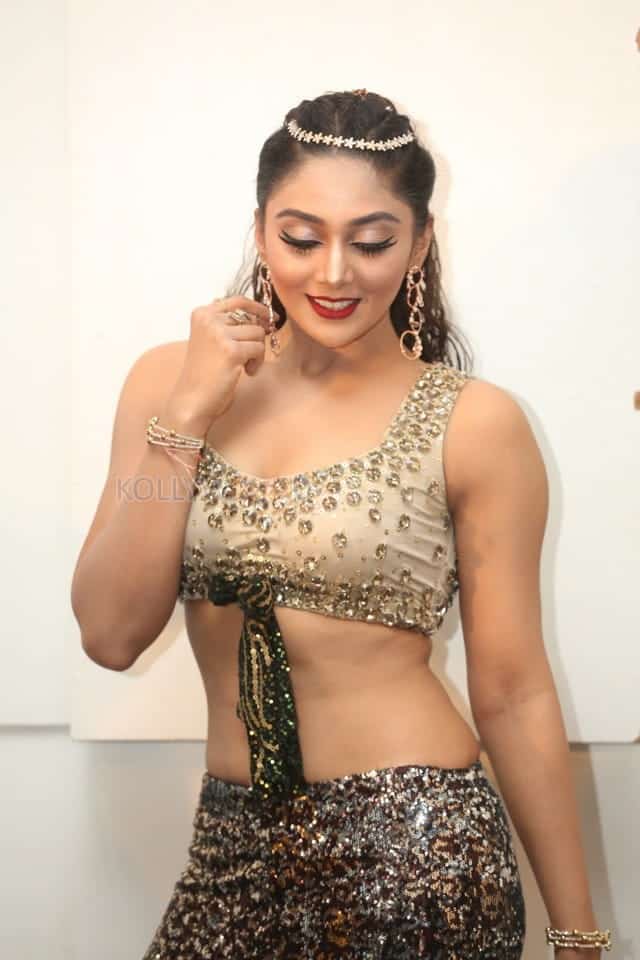 Actress Natasha Doshi At Bang Bang New Year 2019 Celebration Photos 69