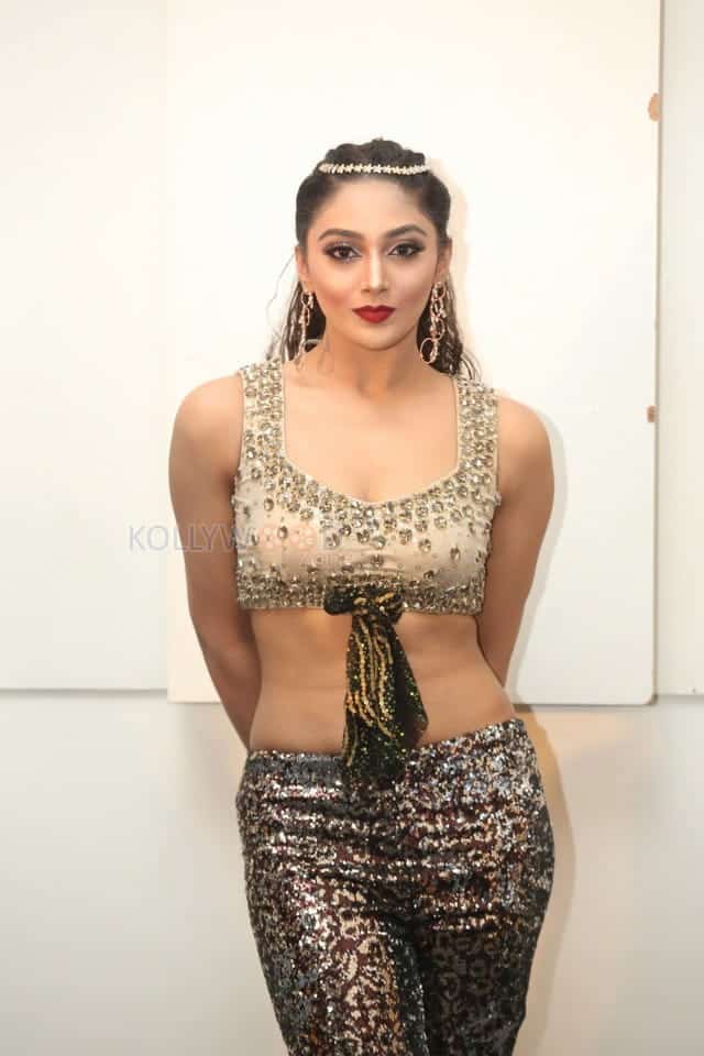 Actress Natasha Doshi At Bang Bang New Year 2019 Celebration Photos 73