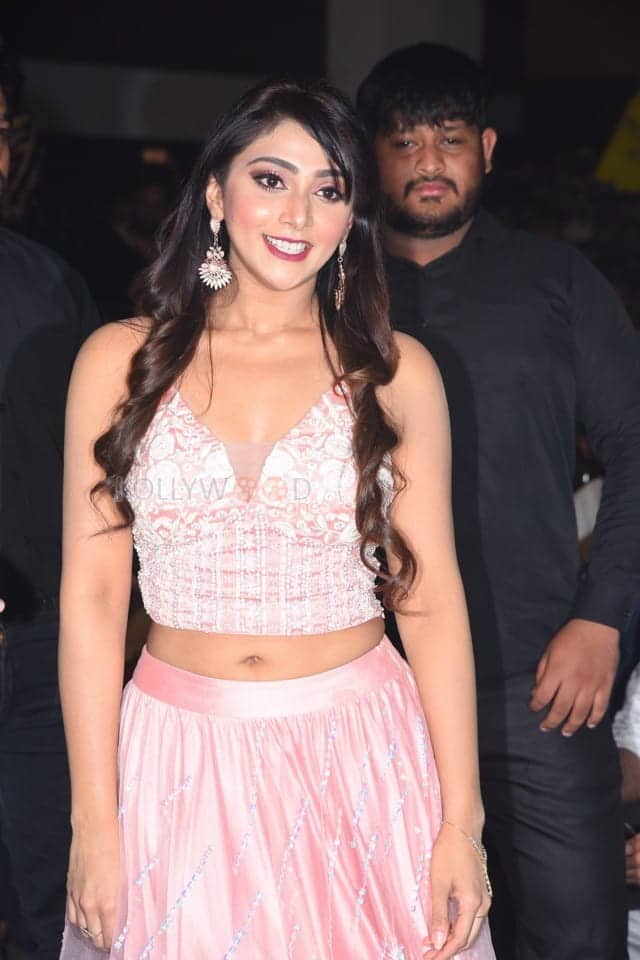 Actress Natasha Doshi At Entha Manchivadavura Pre release Event Pictures 15