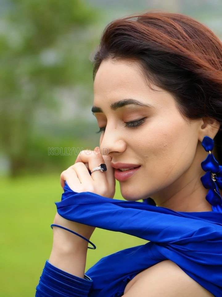 Sexy Priyanka Rewri in a Blue Georgette Saree Pictures 01