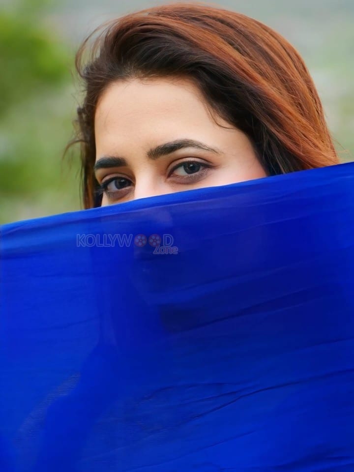 Sexy Priyanka Rewri in a Blue Georgette Saree Pictures 02