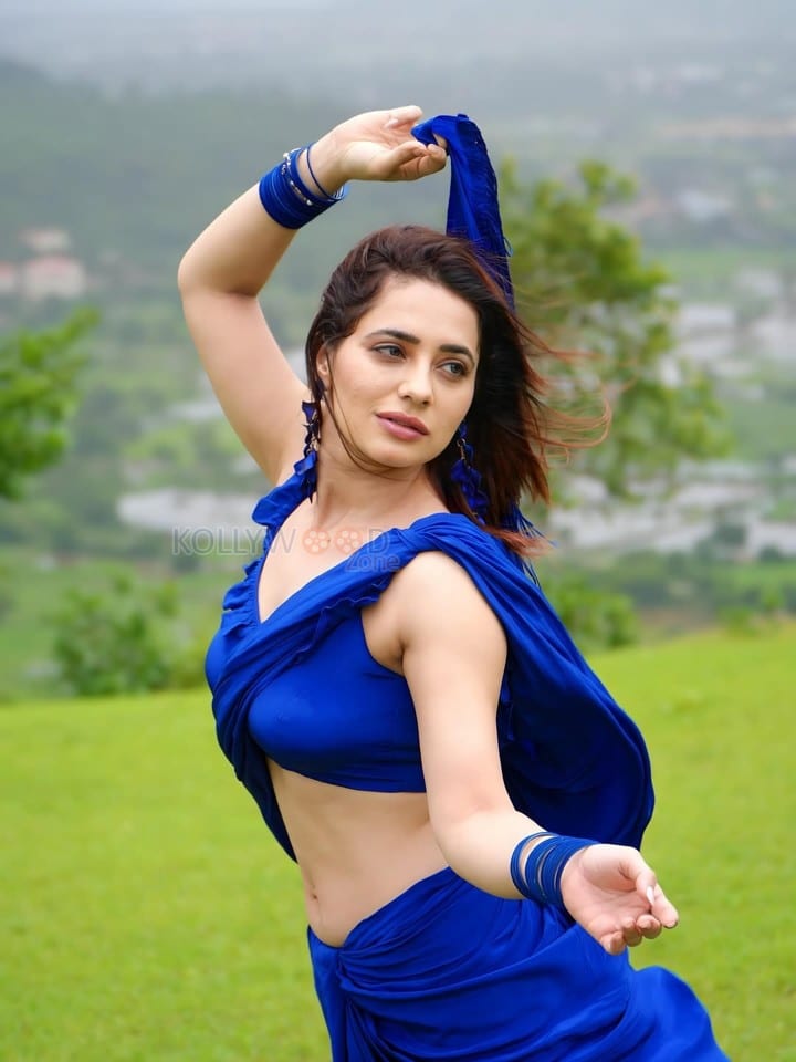 Sexy Priyanka Rewri in a Blue Georgette Saree Pictures 04