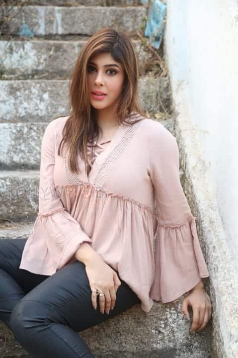 Actress Aditi Singh New Stills 07