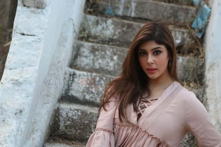 Actress Aditi Singh New Stills 10