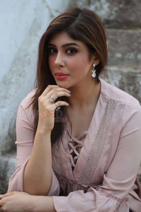 Actress Aditi Singh New Stills 12