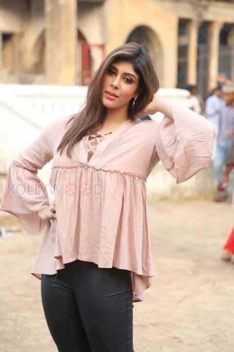 Actress Aditi Singh New Stills 17