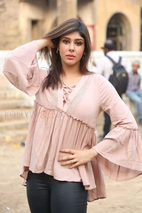 Actress Aditi Singh New Stills 19