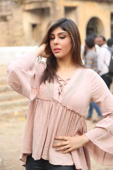 Actress Aditi Singh New Stills 20