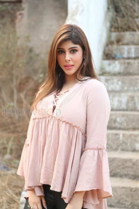 Actress Aditi Singh New Stills 35