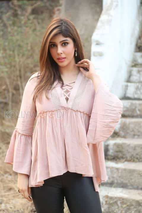 Actress Aditi Singh New Stills 37