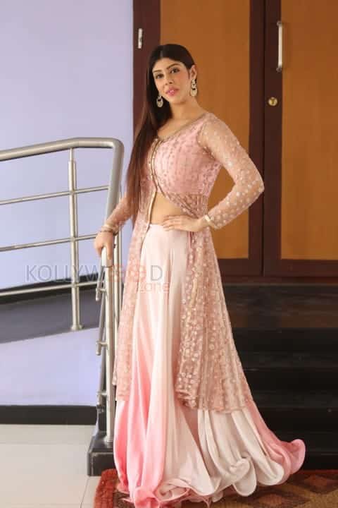 Actress Aditi Singh Photos 10