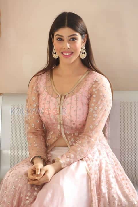 Actress Aditi Singh Photos 15