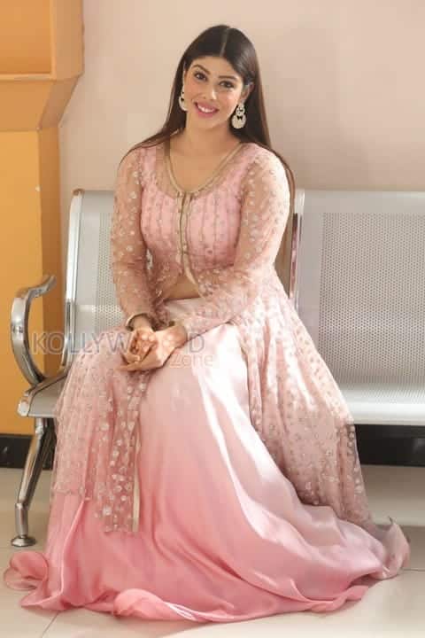 Actress Aditi Singh Photos 16