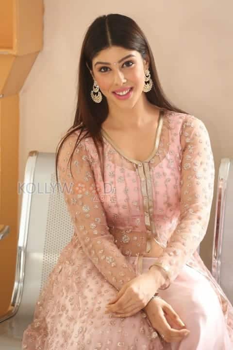Actress Aditi Singh Photos 18