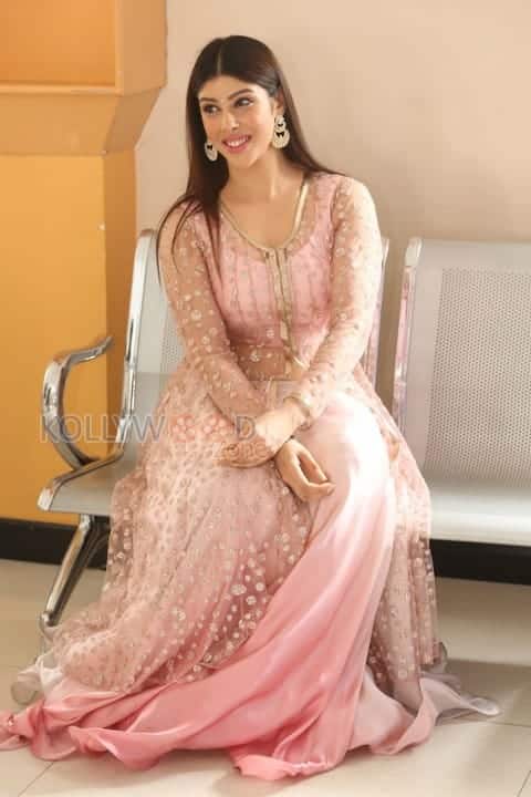 Actress Aditi Singh Photos 22