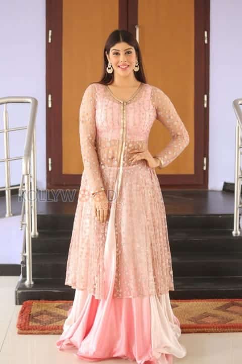 Actress Aditi Singh Photos 31