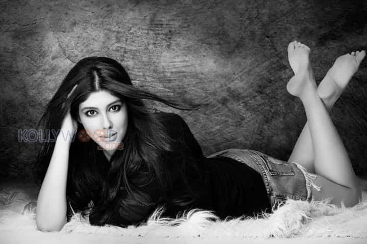 Actress Aditi Singh Photoshoot Pictures 03