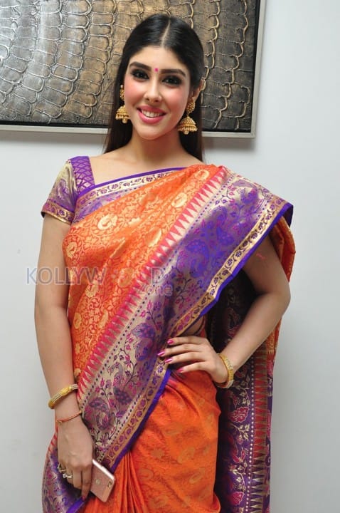 Aditi Singh In Saree Photos 01