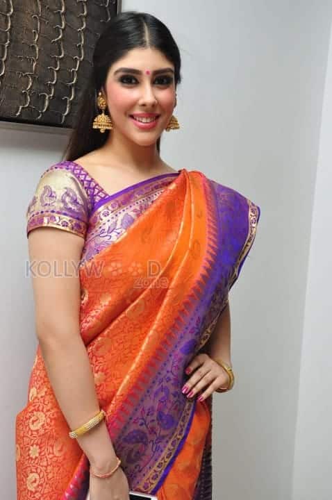 Aditi Singh In Saree Photos 04