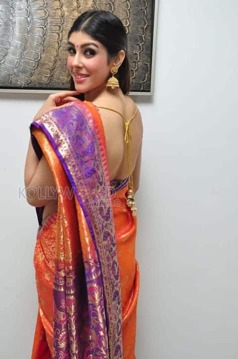 Aditi Singh In Saree Photos 13