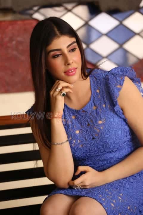 Telugu Actress Aditi Singh Photoshoot Pictures 06