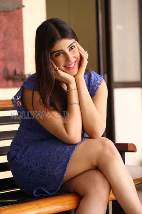 Telugu Actress Aditi Singh Photoshoot Pictures 18