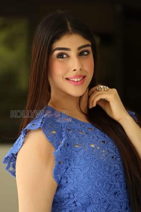 Telugu Actress Aditi Singh Photoshoot Pictures 26