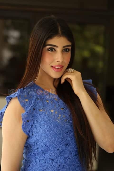 Telugu Actress Aditi Singh Photoshoot Pictures 27