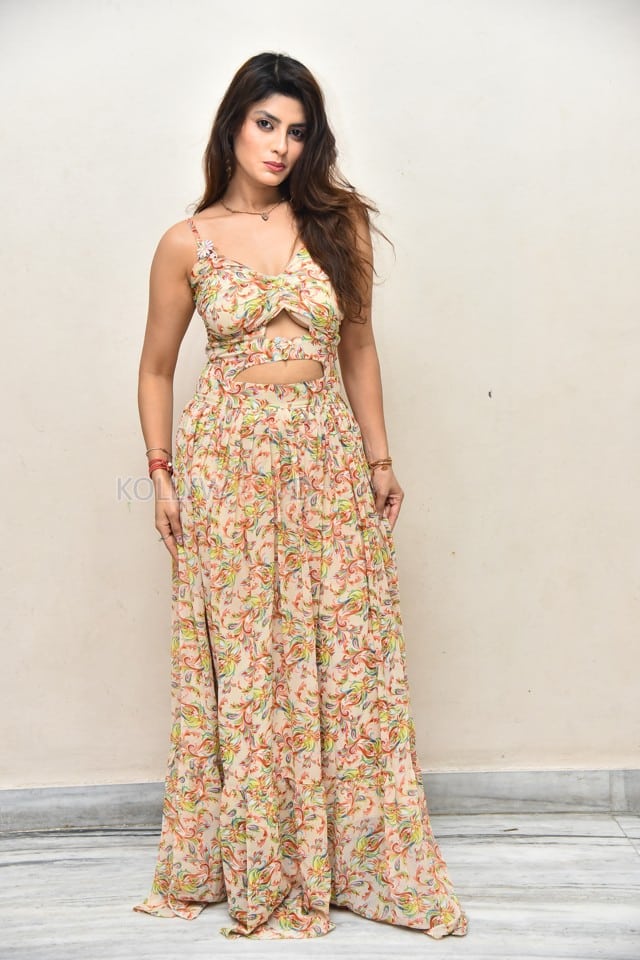 Actress Rakshi Sharma at Seetha Prayanam Krishna Tho Movie Pre Release Press Meet Photos 05