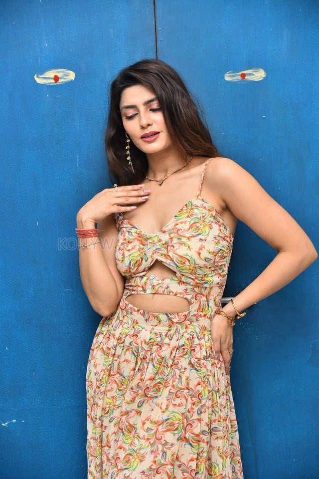 Actress Rakshi Sharma at Seetha Prayanam Krishna Tho Movie Pre Release Press Meet Photos 18