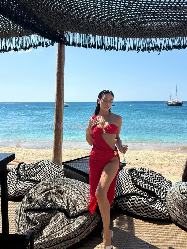 Provocative Actress Radhika Chandhok in a Two Piece Red Bikini Photos 01