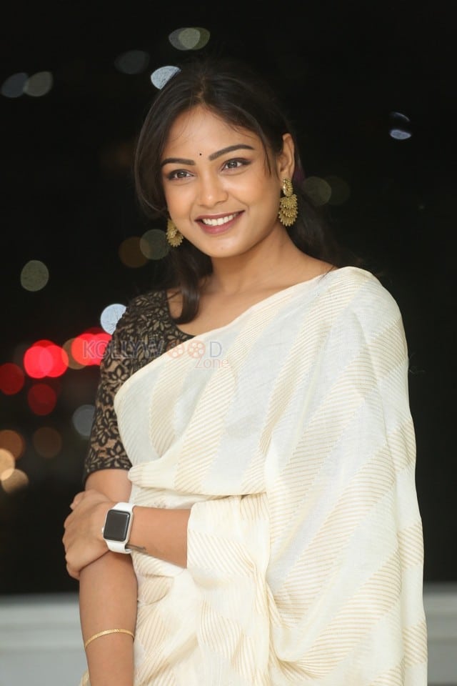 Actress Lavannya Sahukara at Valentines Night Movie Press Meet Photos 10