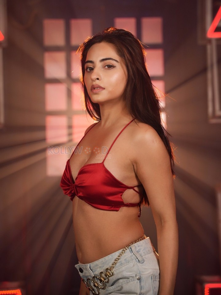 Fashionable Niyati Fatnani in a Red Satin Crop Top with High Waisted Denim Jeans Photos 01