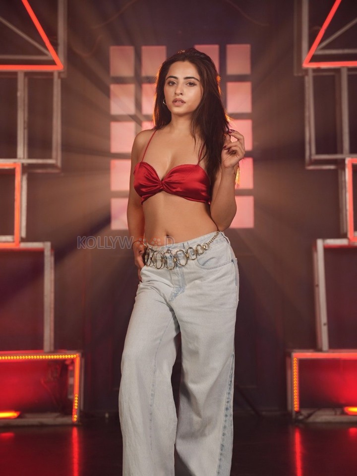 Fashionable Niyati Fatnani in a Red Satin Crop Top with High Waisted Denim Jeans Photos 02