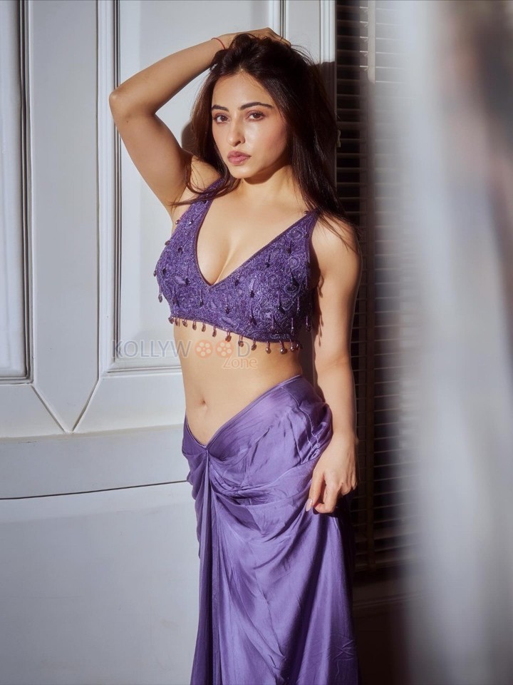Indian Television Actress Niyati Fatnani Navel in a Purple Saree with an Embroidered Blouse Pictures 02
