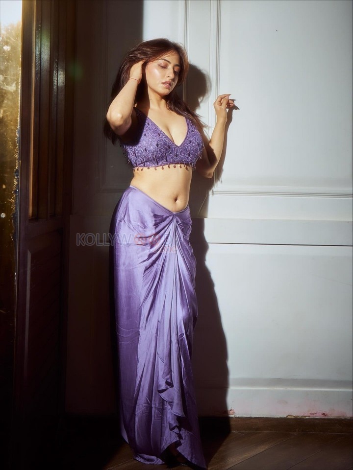 Indian Television Actress Niyati Fatnani Navel in a Purple Saree with an Embroidered Blouse Pictures 03