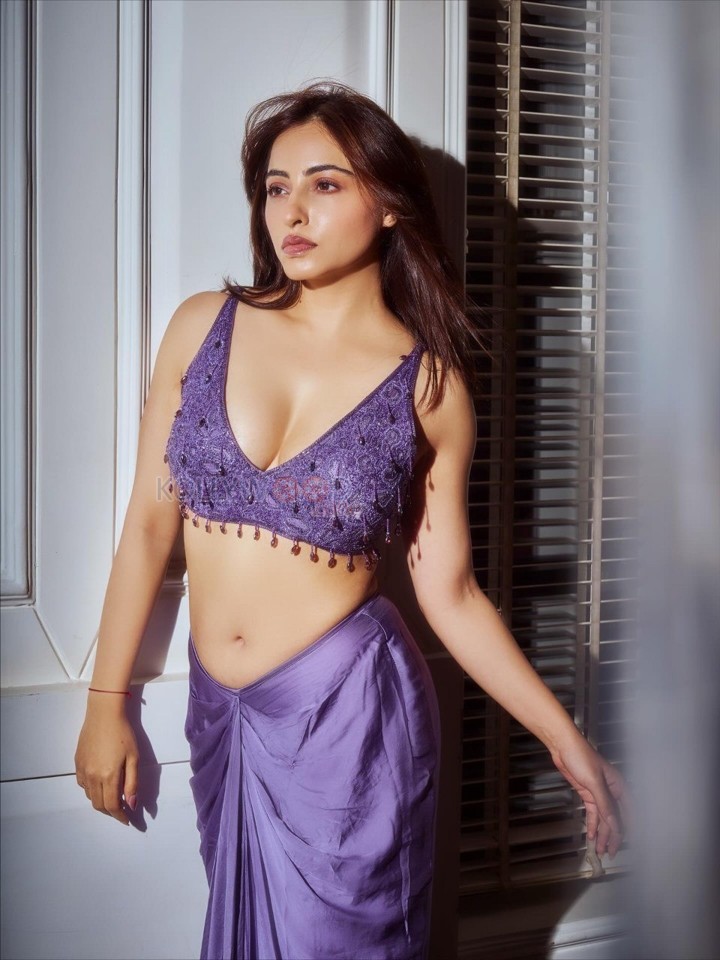 Indian Television Actress Niyati Fatnani Navel in a Purple Saree with an Embroidered Blouse Pictures 05