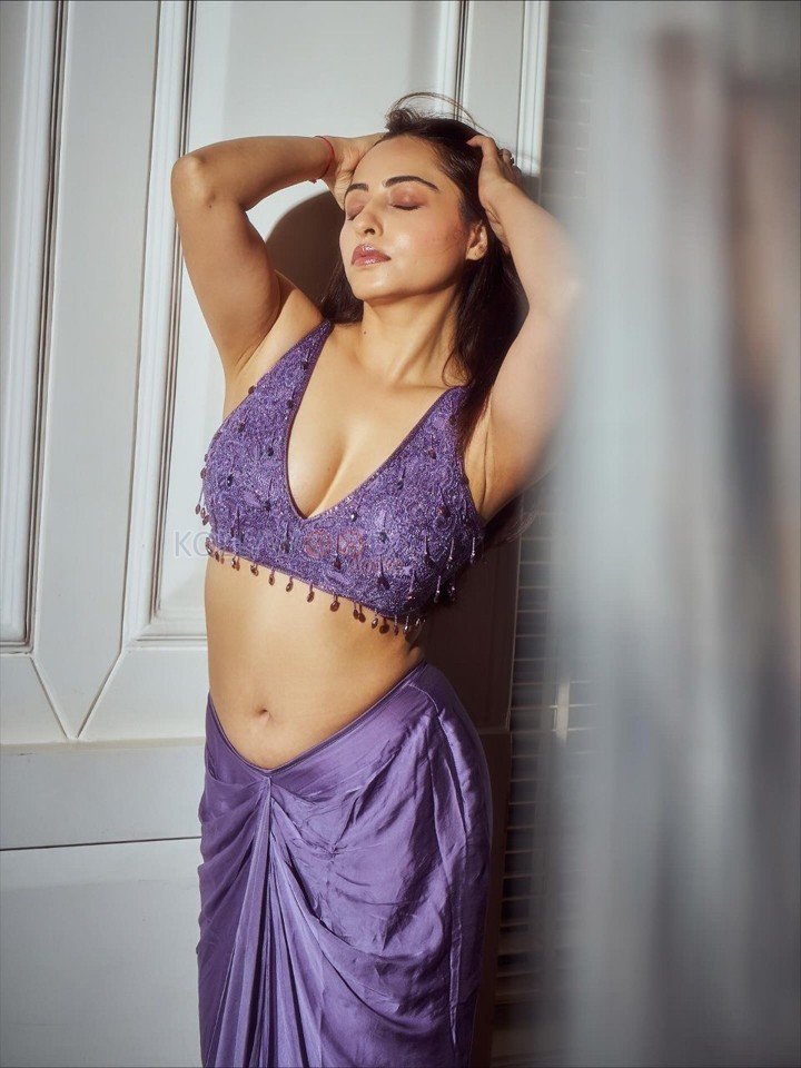 Indian Television Actress Niyati Fatnani Navel in a Purple Saree with an Embroidered Blouse Pictures 06