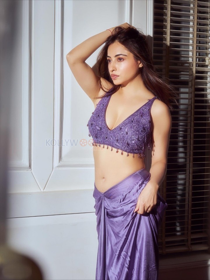 Indian Television Actress Niyati Fatnani Navel in a Purple Saree with an Embroidered Blouse Pictures 07