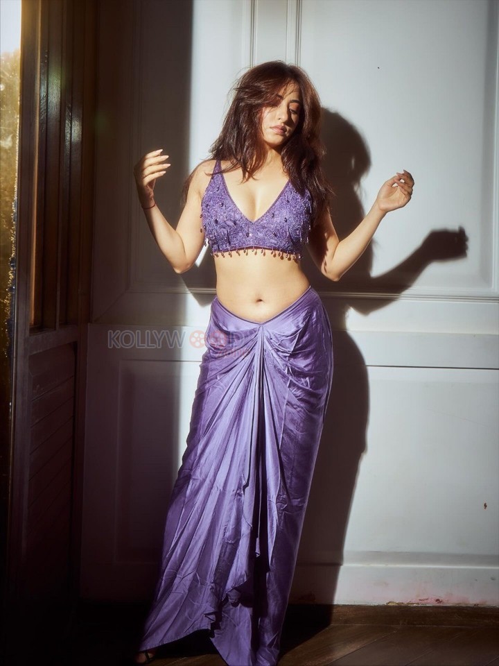 Indian Television Actress Niyati Fatnani Navel in a Purple Saree with an Embroidered Blouse Pictures 08