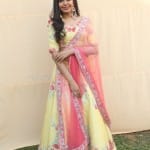Shivani Rajasekhar 12 States Movie Heroine Shivani Rajasekhar Pictures