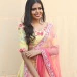 Shivani Rajasekhar 11 States Movie Heroine Shivani Rajasekhar Pictures