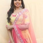Shivani Rajasekhar 6 States Movie Heroine Shivani Rajasekhar Pictures