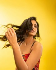 Accidental Farmer and Co Web Series Actress Ramya Pandian Photoshoot Pictures 03