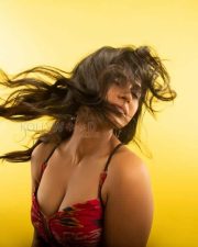 Accidental Farmer and Co Web Series Actress Ramya Pandian Photoshoot Pictures 04