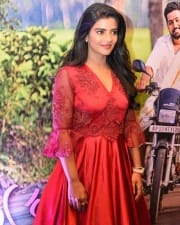 Actress Aishwarya Rajesh At Kousalya Krishna Murthy Audio Function Pictures