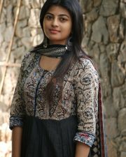 Actress Anandhi At Mannar Vagaiyara Movie Audio Launch Stills