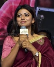 Actress Anandhi at Itlu Maredumilli Prajanikam Pre Release Event Photos 02